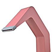 Imex Poolimex Cascada de agua Niagara (L x An x Al: 5,5 x 6 x 68 cm, Acero inoxidable, Rosa coral) | BAUHAUS