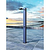 Imex Poolimex Ducha de piscina Phoenix (222 cm, Aluminio, Azul océano) | BAUHAUS