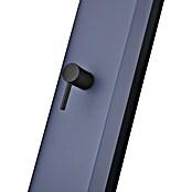 Imex Poolimex Ducha de piscina Phoenix (222 cm, Aluminio, Azul océano) | BAUHAUS