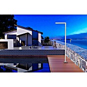 Imex Poolimex Ducha de piscina Alabama (225 cm, Acero inoxidable, Cromo) | BAUHAUS