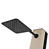Imex Poolimex Ducha de piscina Phoenix (222 cm, Aluminio, Moka) | BAUHAUS