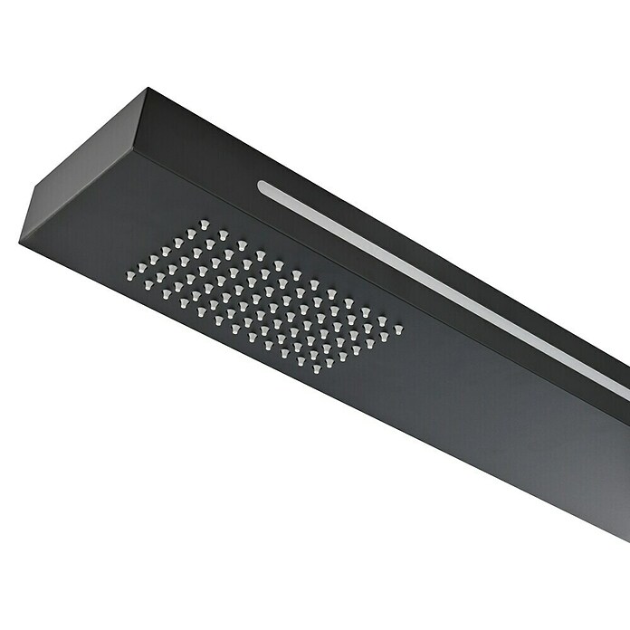 Imex Poolimex Ducha de piscina Sense (225 cm, Acero inoxidable, Negro mate) | BAUHAUS