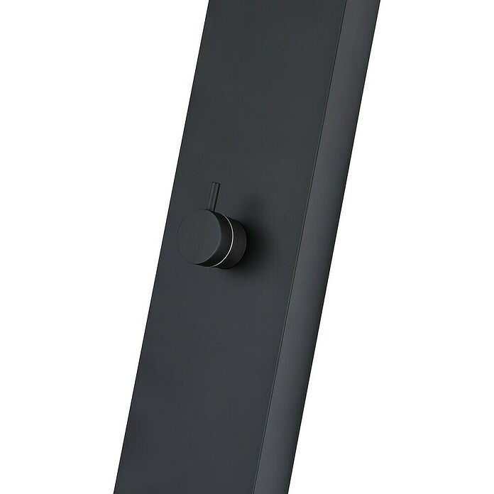 Imex Poolimex Ducha de piscina Sense (225 cm, Acero inoxidable, Negro mate) | BAUHAUS