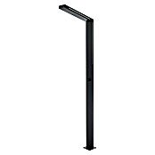 Imex Poolimex Ducha de piscina Sense (225 cm, Acero inoxidable, Negro mate) | BAUHAUS