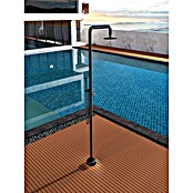 Imex Poolimex Ducha de piscina Florida (222 cm, Acero inoxidable, Negro mate) | BAUHAUS