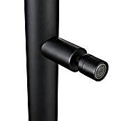 Imex Poolimex Ducha de piscina Dakota (232 cm, Acero inoxidable, Negro mate) | BAUHAUS
