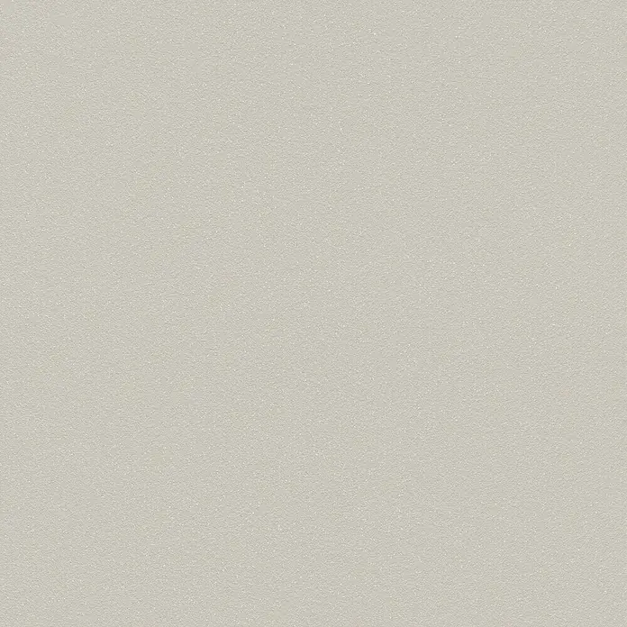 Rasch Vliestapete Flitter - Greige, Uni, 10,05 x 0,53 m - Helles, strukturiertes Material, ideal als neutraler Hintergrund oder für subtile Designelemente. Perfekt für eine Vielzahl von Anwendungen.