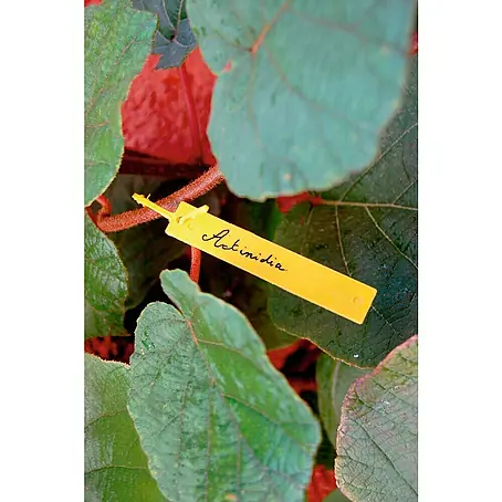 Nortene  Etiqueta para plantas + Rotulador