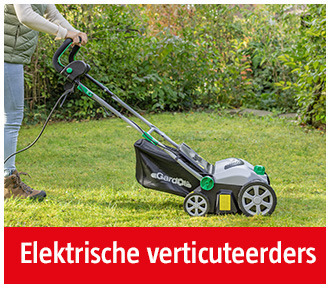 elektrische-verticuteermachines-categorie-bauhaus