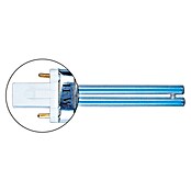 Heissner Nadomestna svetilka UVC PL-S  (7 W) | 7454 - Teichfilter | IAGE - Teiche und Zubehör | IAG - Außenbereichsausstattung | IA - Gartenhartware | I - Stadtgarten | BAUHAUS