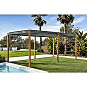 Sunfun Pérgola Andros (An x Pr: 579 x 294 cm, Antracita/Marrón, Aluminio) | BAUHAUS
