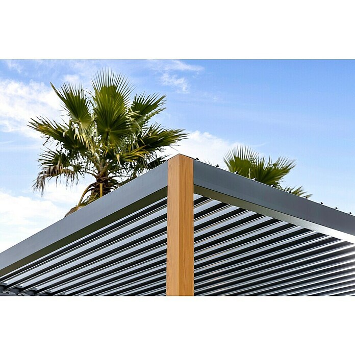 Sunfun Pérgola Andros (An x Pr: 579 x 294 cm, Antracita/Marrón, Aluminio) | BAUHAUS