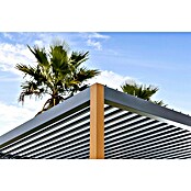 Sunfun Pérgola Andros (An x Pr: 579 x 294 cm, Antracita/Marrón, Aluminio) | BAUHAUS