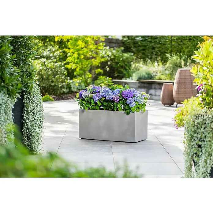 Piardino Bauernhortensie Indoor - Hydrangea macrophylla 'Ningbo', Topfgröße: 14 cm, Blauviolett - Ein silberner Pflanzkasten mit blühenden Hortensien steht auf einer Terrasse, umgeben von üppigem Grün. Der Fokus liegt auf dem stilvollen Pflanzgefäß.