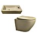 Best Design Hangend toiletset + Fontein 