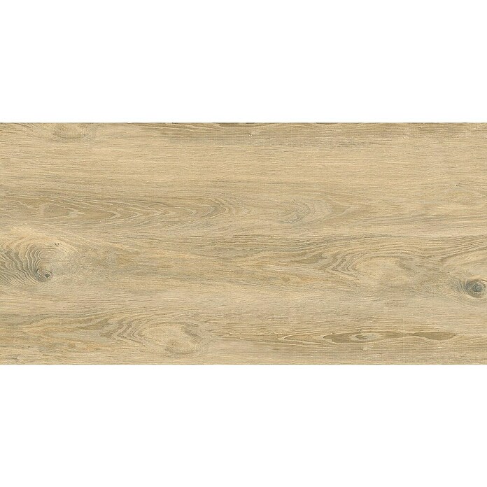 Cersanit Talne ploščice Perfect Wood  (Do x Š: 60 x 120 cm, Svetlo rjava) | Ploščice z videzom lesa | Talne ploščice | Talne obloge | Izdelki | BAUHAUS