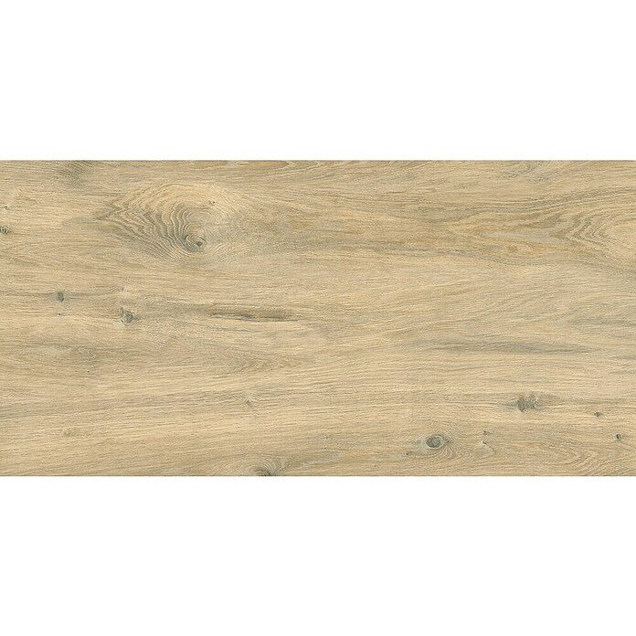 Cersanit Talne ploščice Perfect Wood  (Do x Š: 60 x 120 cm, Svetlo rjava) | Ploščice z videzom lesa | Talne ploščice | Talne obloge | Izdelki | BAUHAUS