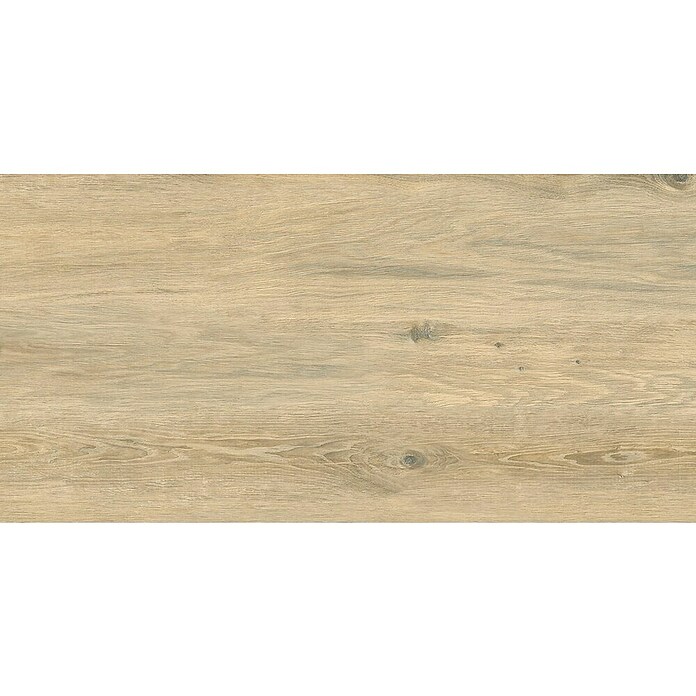 Cersanit Talne ploščice Perfect Wood  (Do x Š: 60 x 120 cm, Svetlo rjava) | Ploščice z videzom lesa | Talne ploščice | Talne obloge | Izdelki | BAUHAUS