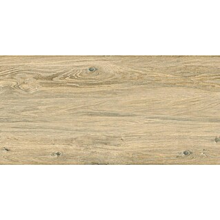 Cersanit Talne ploščice Perfect Wood (Do x Š: 60 x 120 cm, Svetlo rjava)