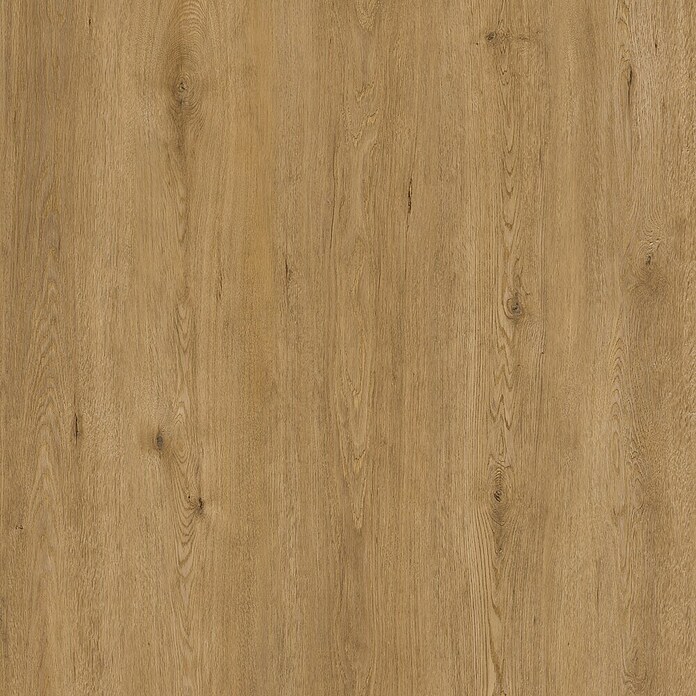 Suelo vinílico SPC Roble Olver (1.220 x 180 x 5,5 mm, Marrón, Resistente al agua) | BAUHAUS