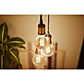 Philips Portalámparas de cuerda LED Estándar (Dorado, E27, 2 m, 40 W)