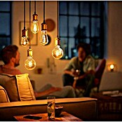 Philips Portalámparas de cuerda LED Estándar (Dorado, E27, 2 m, 40 W)