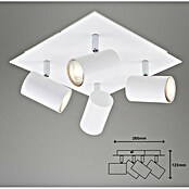 Briloner Regleta Run (40 W, 4 ud., Blanco, GU10) | BAUHAUS