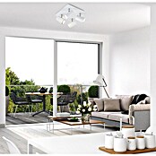 Briloner Regleta Run (40 W, 4 ud., Blanco, GU10) | BAUHAUS