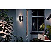 Philips Aplique exterior LED Actea (1 luz, 12 W, Color de luz: Blanco cálido)