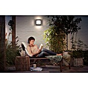 Philips Aplique exterior LED Samondra (1 luz, 12 W, Color de luz: Blanco frío)