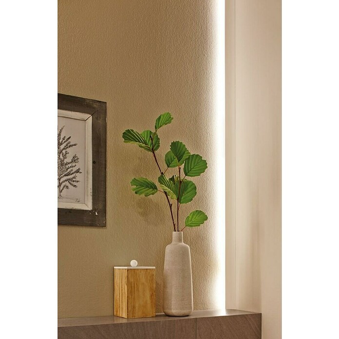 Paulmann YourLED Tira LED (3 m, Blanco cálido, 7,5 W)