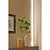 Paulmann YourLED Tira LED (3 m, Blanco cálido, 7,5 W)