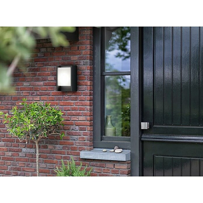 Philips Aplique exterior LED Arbour (Blanco frío)