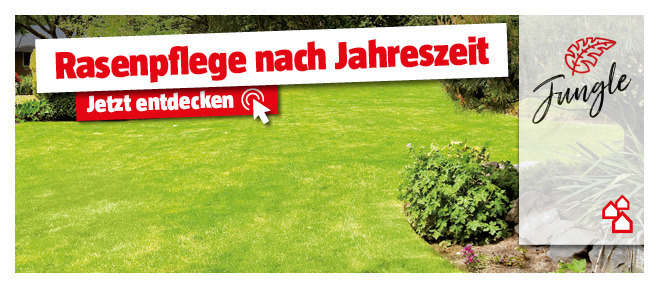 Rasenpflege nach Jahreszeit