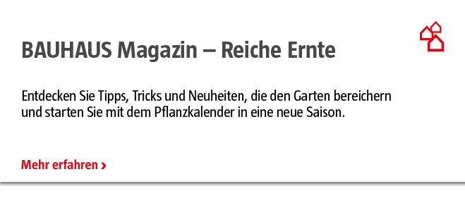 Reiche Ernte Magazin