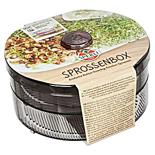 Kiepenkerl Profi-Line Saatgut Sprossenbox (18,5 x 18,5 cm)