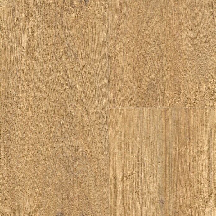 Egger Laminat NatureSense Aqua Predaia Eiche honig (Predaia Eiche honig, Landhausdiele, 1 292 x 193 x 8 mm) | BAUHAUS