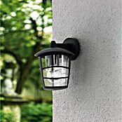 Eglo Aplique exterior descendente Aloria (1 luz, 60 W, IP44, Negro)
