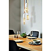 Eglo Lámpara colgante redonda Yorth (Multicolor, Altura: 200 cm, E27, 1 luz)