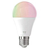 Eglo Connect Bombilla LED (9 W, E27, Blanco cálido, 1 ud.)