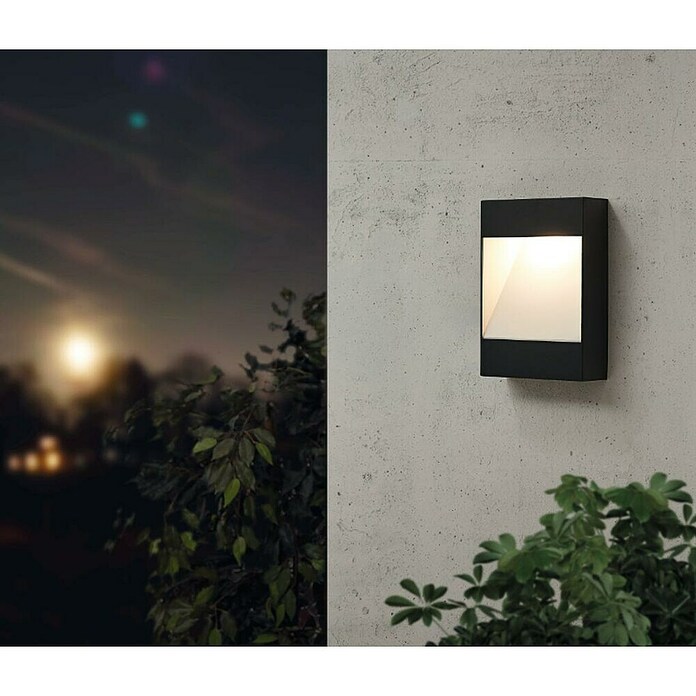 Eglo Aplique exterior LED Manfria (10 W, 8 x 30 x 30 cm, Antracita, IP44) | BAUHAUS