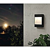 Eglo Aplique exterior LED Manfria (10 W, 8 x 30 x 30 cm, Antracita, IP44) | BAUHAUS