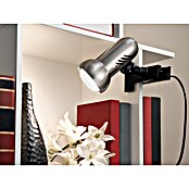 Eglo Klemlamp Manhattan (1 lampen, Max. vermogen: 60 W, Nikkel mat)