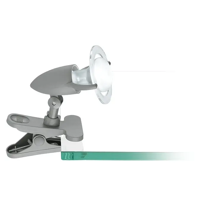 Eglo Klemmleuchte Lydia - 40 W, Farbe Gehäuse: Silber - Graue Klemmlampe mit Schwanenhals und rundem Lampenschirm, ideal für den Schreibtisch oder Nachttisch, für gezieltes Licht.