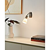 Eglo Dakar 3 Steckdosenspot (1-flammig, Max. Leistung: 25 W, Nickel matt)