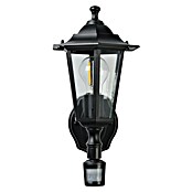 Eglo Laterna 4 Vanjska zidna svjetiljka  (60 W, Crne boje, Prozirno, IP44, Senzor pokreta) | BAUHAUS