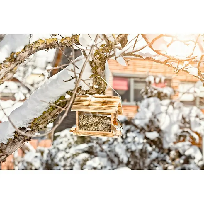 Windhager Vogelhaus - L x B x H: 18 x 28 x 24 cm, Natur, Geflammt, Holz - Hölzernes Vogelhaus im Winter mit Futter befüllt, hängt an einem verschneiten Ast und bietet eine einladende Futterstelle für Vögel.