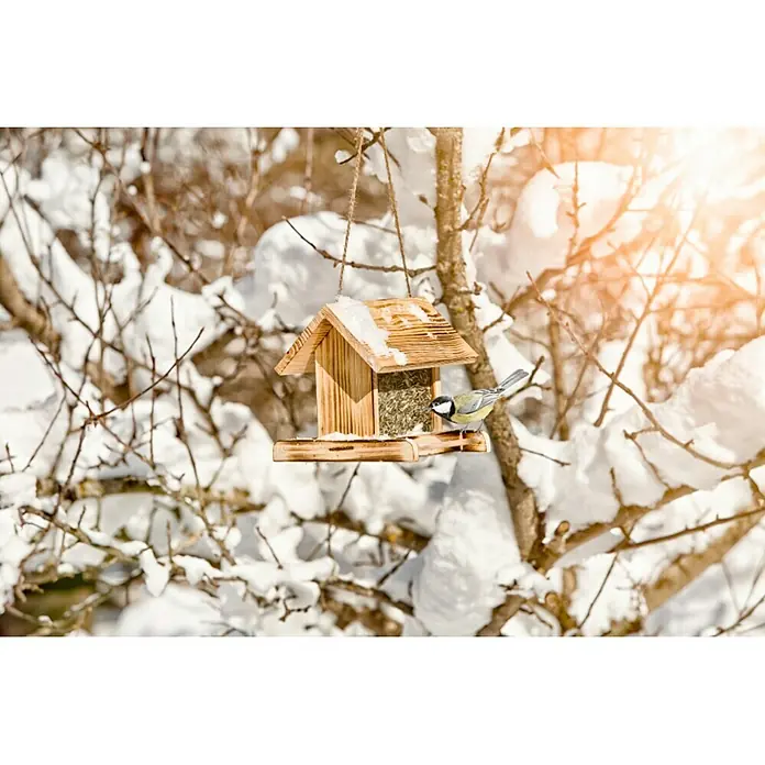 Windhager Vogelfutterhaus - L x B x H: 22 x 19,5 x 20,5 cm, Natur, Geflammt, Holz - Ein hölzernes Vogelhaus hängt im Schnee, ein Meisenknödel ist darin zu sehen und ein kleiner Vogel sitzt auf dem Brett des Vogelhauses.