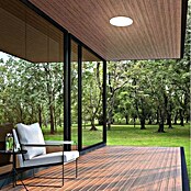 Briloner Plafón LED para exterior Dusseldorf (8 W, Blanco, IP44) | BAUHAUS