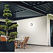 Briloner Plafón LED para exterior Dusseldorf (8 W, Negro, IP44) | BAUHAUS